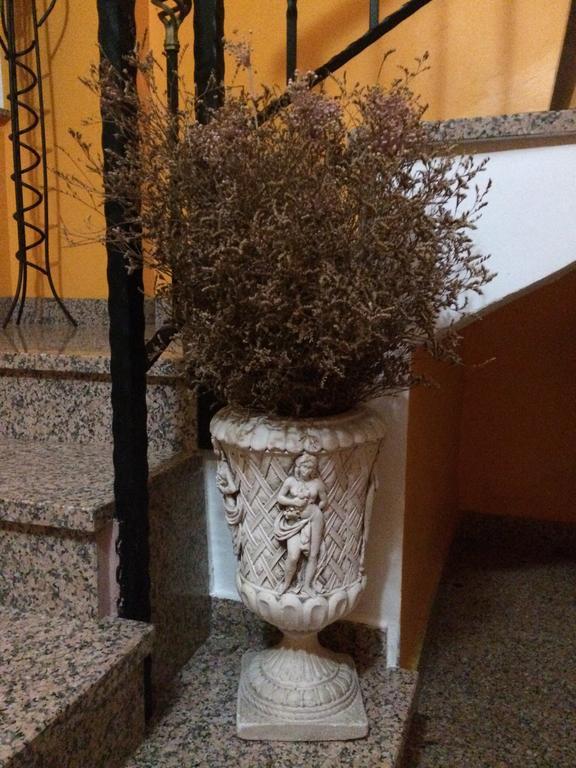 Apartment Niko Skradin